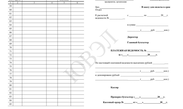 Платежная ведомость (А4)